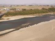 BirdView